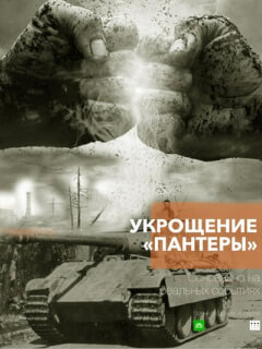 Укрощение «Пантеры»